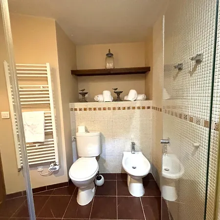 Hostelerie Du Presidial : 3chbres/3sdb De Standing Au Coeur De La Citee De 別荘 *