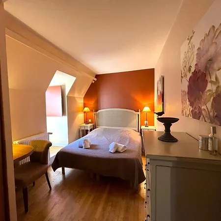 Hostelerie Du Presidial : 3chbres/3sdb De Standing Au Coeur De La Citee De *
